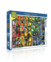 1000 Rainbow of Birds