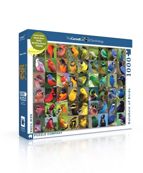 1000 Rainbow of Birds