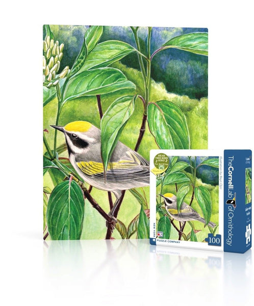 100 Mini Puzzle Golden-winged Warbler