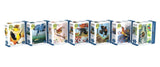 100 Mini Puzzle Collector's Set  Cornell Lab of Ornithology