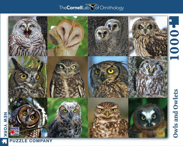 1000 Owls and Owlets