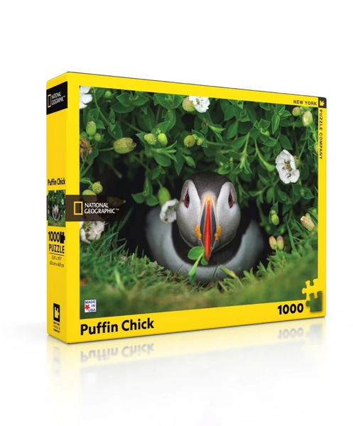 1000 Puffin Chick
