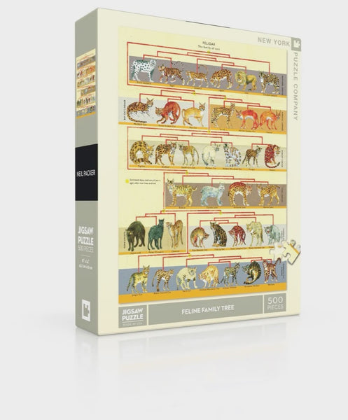 500 Feline Family Tree