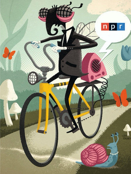500 NPR Mr. Fly