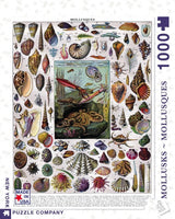 1000 Mollusks - Mollusques