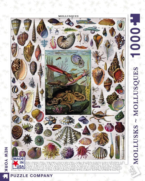 1000 Mollusks - Mollusques