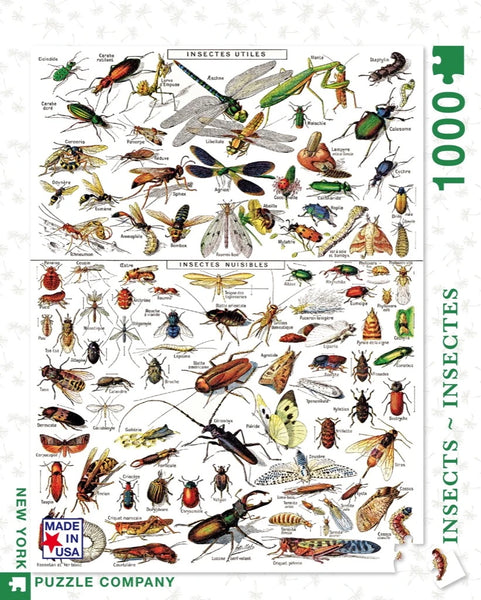 1000 Insects - Insectes