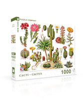 1000 Cacti- Cactus