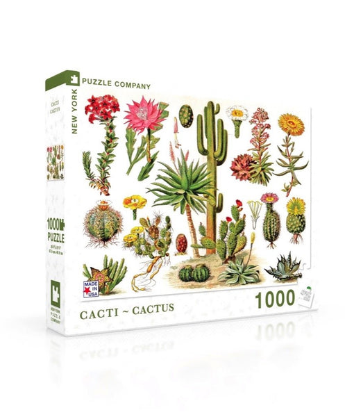 1000 Cacti- Cactus