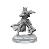 D&D Frameworks: Tiefling Rogue Female