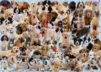 1000 Dogs Galore