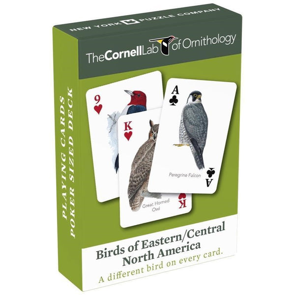 Playing Cards: Birds of Eastern/Central North America