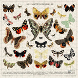 250 Wooden Puzzle in Glass Decanter: Butterflies & Moths