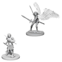 Aasimar Paladin Female (W5)