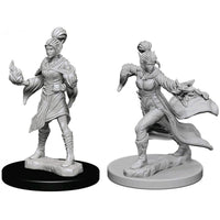 Elf Sorcerer Female (W1)