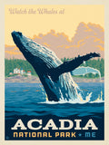 500 Acadia National Park