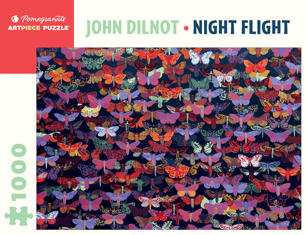 1000 Night Flight