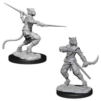 Tabaxi Rogue Male (W7)