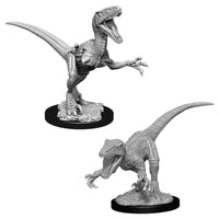 Raptors (W11)