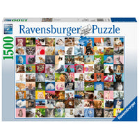 1500 99 Cats
