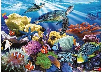 200 Ocean Turtles