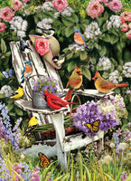 1000 Summer Adirondack Birds