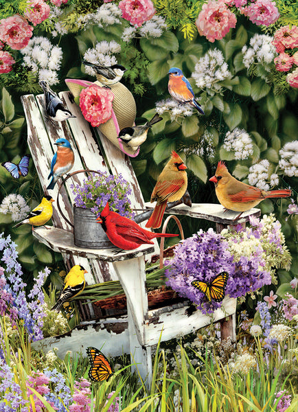 1000 Summer Adirondack Birds