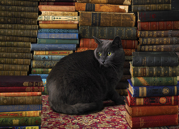 1000 Library Cat