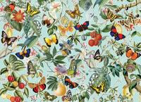 1000 Fruit & Butterflies