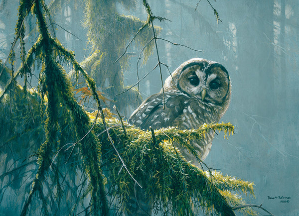 500 Mossy Branches-Spotted Owl