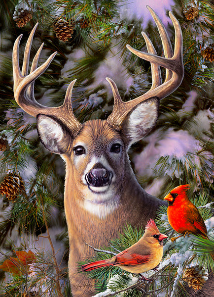 500 One Deer Two Cardinals