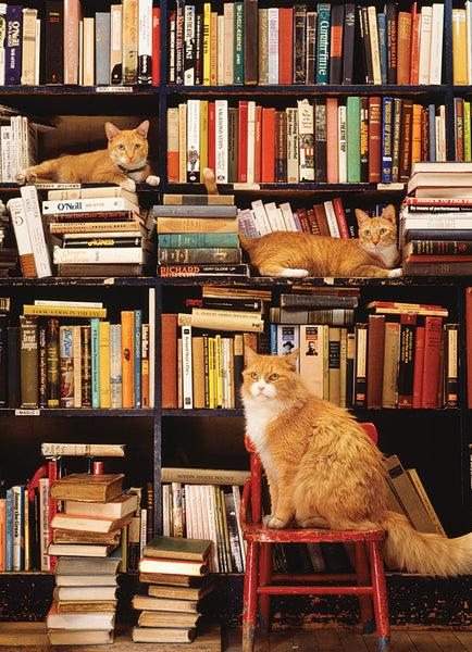500 Gotham Bookstore Cats