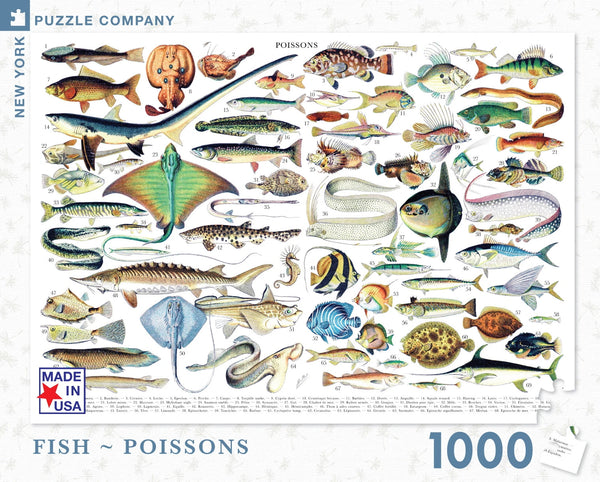 1000 Fish - Poissons