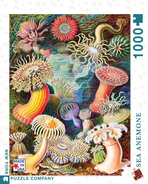 1000 Sea Anemones