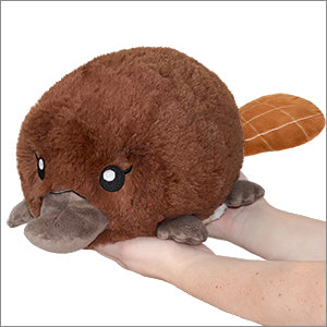 Squishable: Baby Platypus 7"