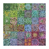 500 Succulent Spectrum