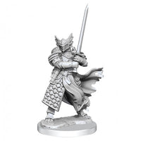 D&D Frameworks: Dragonborn Paladin Male